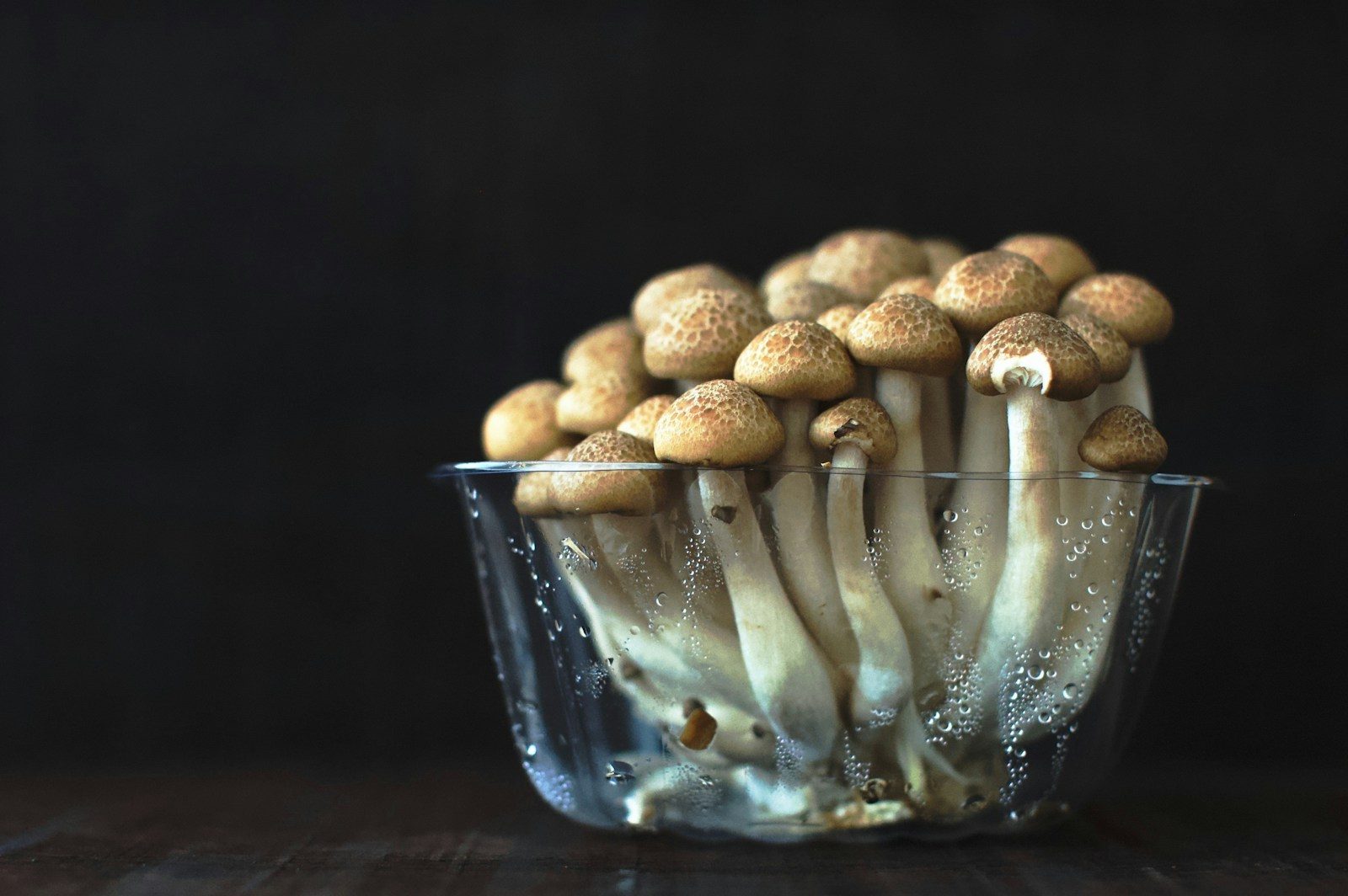 A cluster of mushrooms in a glass bowl